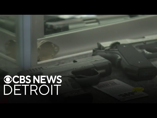 ⁣Michigan lawmakers pass two sets of gun bills