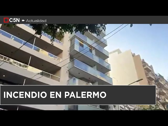 ⁣INCENDIO en PALERMO: EVACUARON a los VECINOS y RESCATARON un CHIMANGO de la PISCINA del EDIFICIO