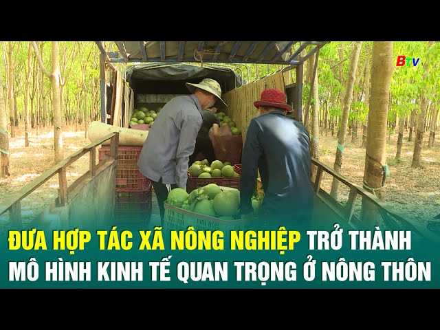 ⁣Đưa hợp tác xã nông nghiệp trở thành mô hình kinh tế quan trọng ở nông thôn