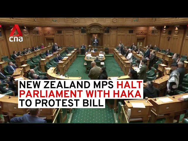 ⁣New Zealand MPs halt parliament with haka in protest of controversial bill