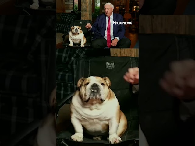 ⁣Senator-elect reveals if he'll bring 'Babydog' to Capitol Hill with him