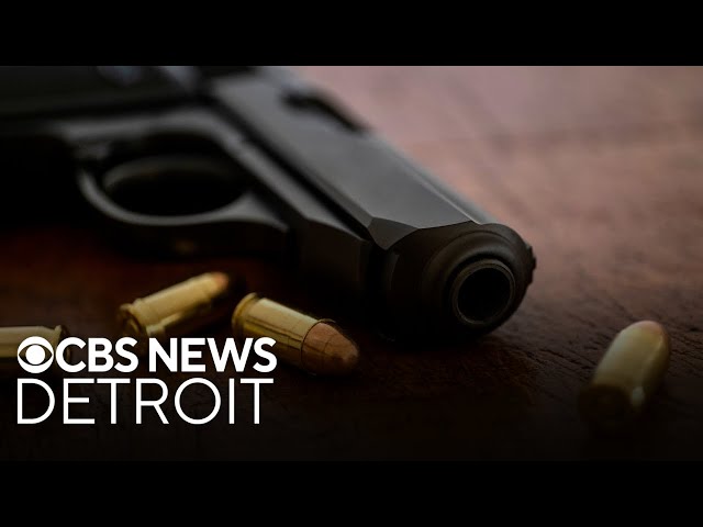 ⁣Proposed bills would ban guns in Michigan legislative offices