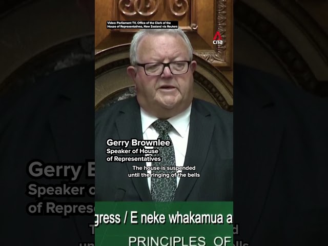 ⁣New Zealand parliament halted by MPs performing haka