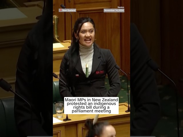 ⁣New Zealand MPs protest Indigenous treaty bill with haka