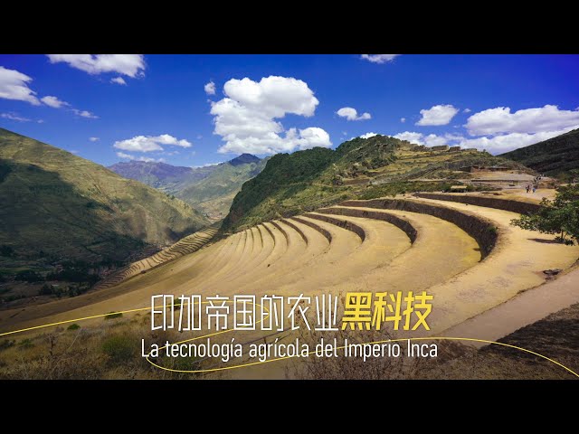 ⁣The Inca Empire's agricultural science and technology