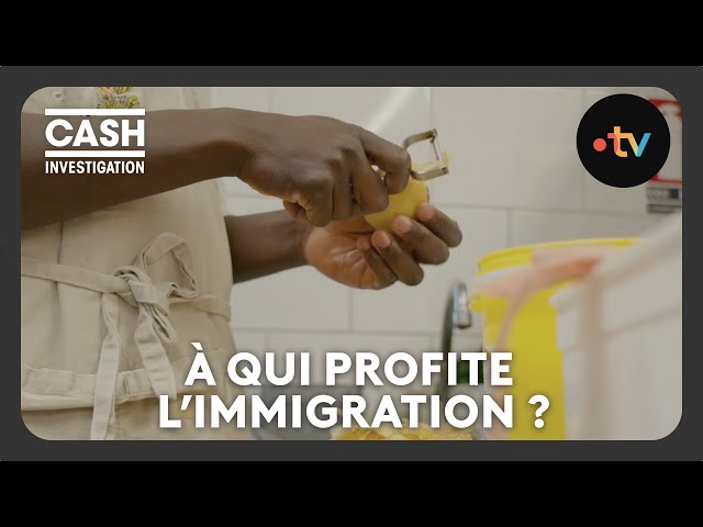 ⁣À qui profite l’immigration ? - Cash investigation