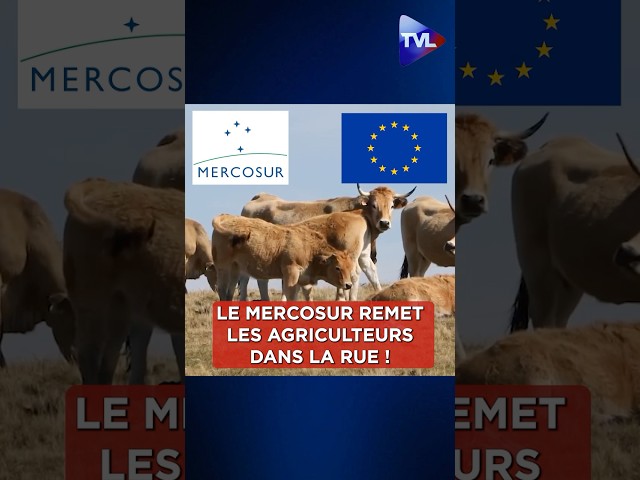 ⁣‼️"Le Mercosur remet les agriculteurs dans la rue !" #agriculture #mercosur