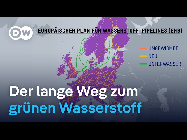 ⁣Grüner Wasserstoff – Hoffnungsträger oder Hürde? | DW Nachrichten