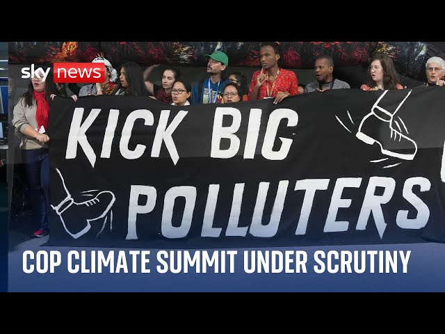 ⁣COP29: UN climate summits 'no longer fit for purpose', warn leading figures