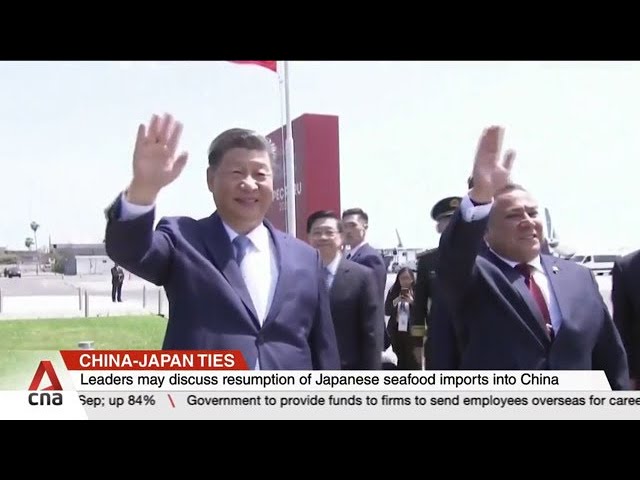 ⁣Chinese president in Peru for summits with world leaders at APEC forum