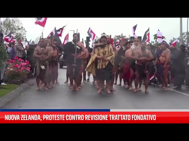 ⁣Nuova Zelanda, proteste contro revisione trattato fondativo