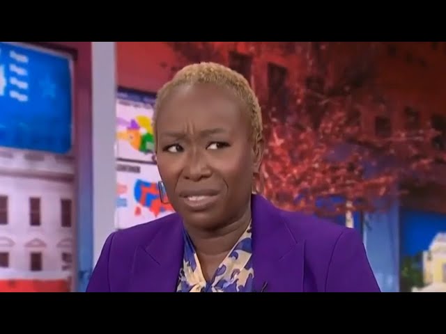 ⁣'Good riddance': MSNBC’s Joy Reid the latest lefty to quit X after Trump’s win