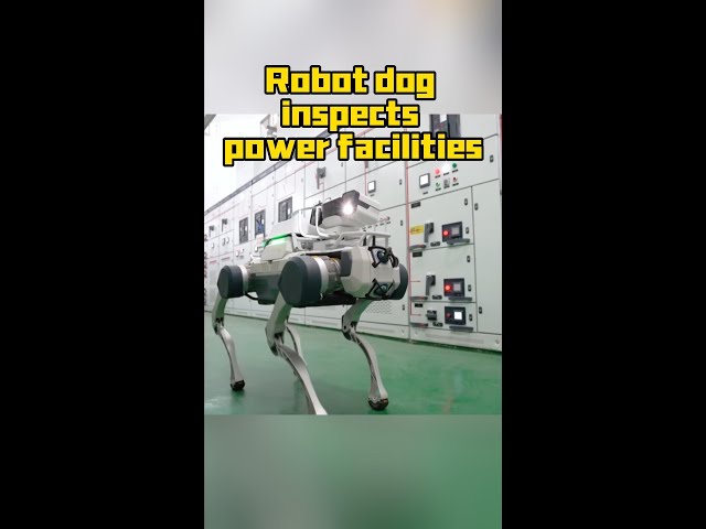 ⁣Robot dog inspects power facilities at Airshow China