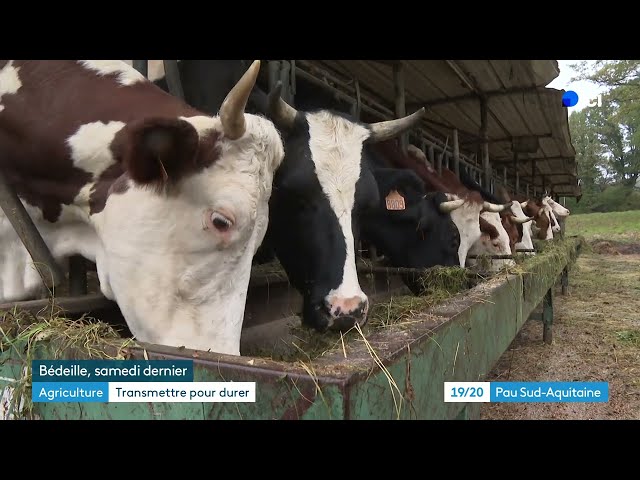 ⁣La transmission des exploitations agricoles lors des départs en retraite