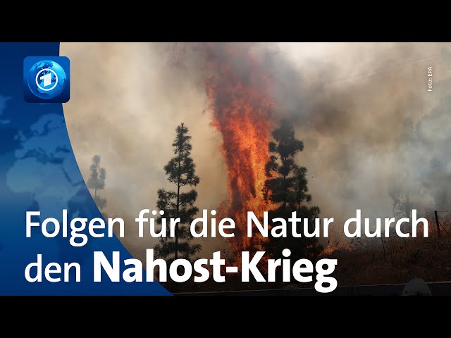 Auswirkungen des Krieges in Nahost auf die Natur