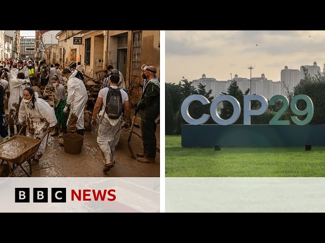 ⁣UN climate talks 'no longer fit for purpose' say key experts | BBC News