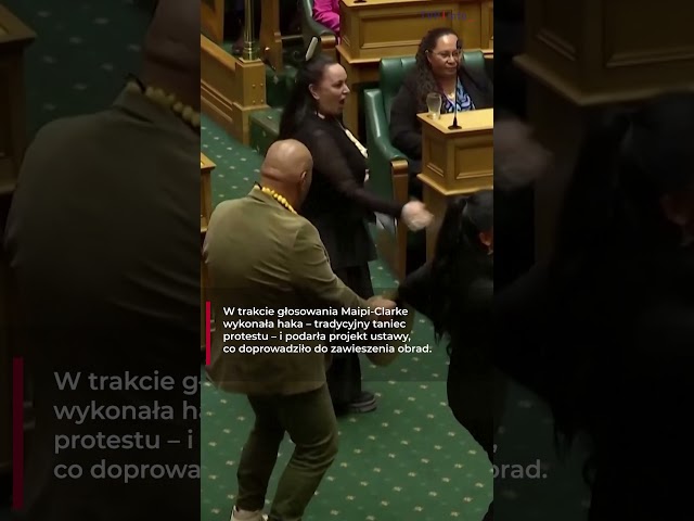 ⁣Haka w parlamencie. W Nowej Zelandii zaprotestowano poprzez... taniec #news #shorts