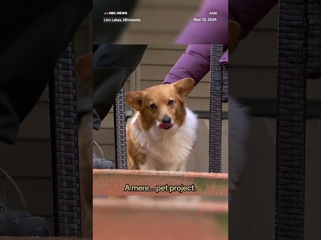 ⁣The poop copter. Cleaning up after your dog could get easier with one software engineer’s invention.