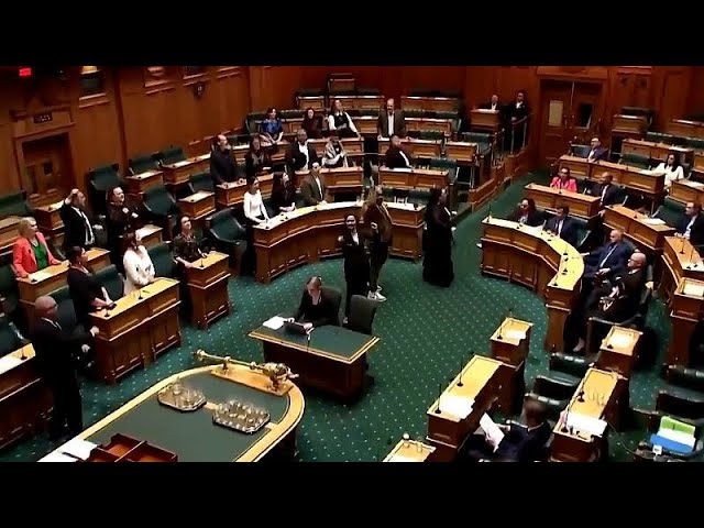 ⁣No Comment : des députés font un haka en pleine séance pour défendre les droits des Maoris