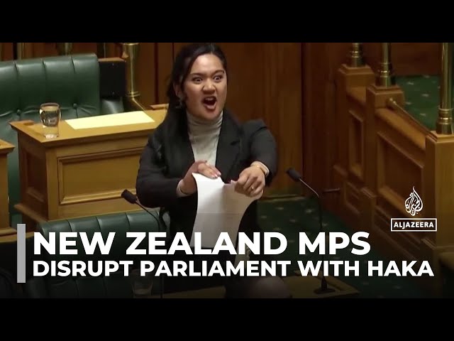 ⁣Haka pauses parliament: New Zealand's founding document at centre of protests