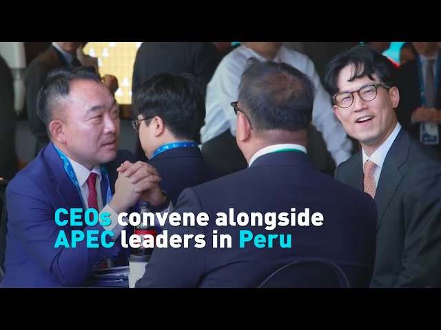 ⁣CEOs convene alongside APEC leaders in Peru