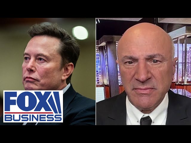 ⁣This is the power Elon Musk has: O’Leary loves ‘very contentious’ plan to cut spending