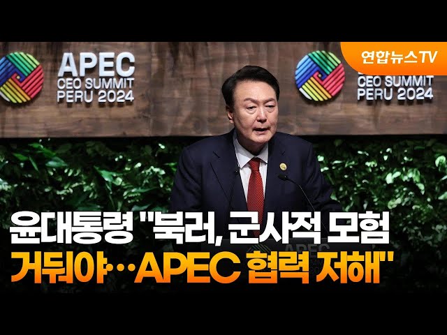 ⁣윤대통령 "북러, 군사적 모험 거둬야…APEC 협력 저해" / 연합뉴스TV (YonhapnewsTV)