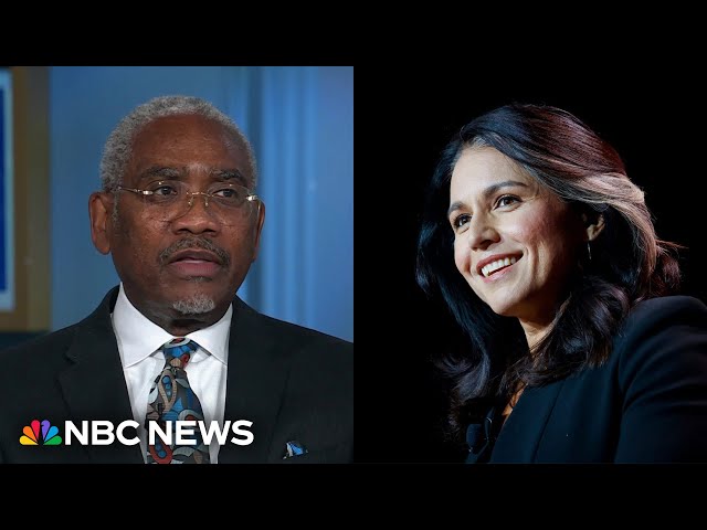 ⁣Top House Foreign Affairs Democrat: Tulsi Gabbard is a ‘risk to national security’