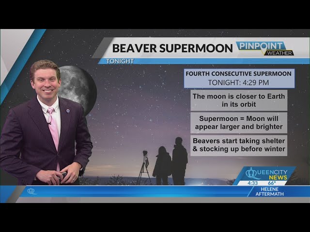 ⁣When to watch tonight's Beaver supermoon and Leonids meteor shower