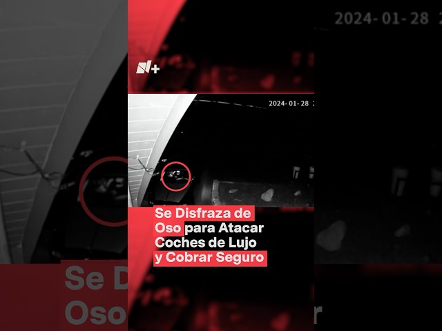 ⁣Se disfraza de oso para atacar coches de lujo y cobrar miles de dólares en seguro - N+ #shorts