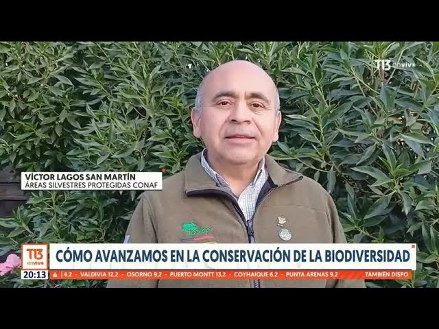 ⁣Cómo avanzamos en la conservación de la biodiversidad en Chile