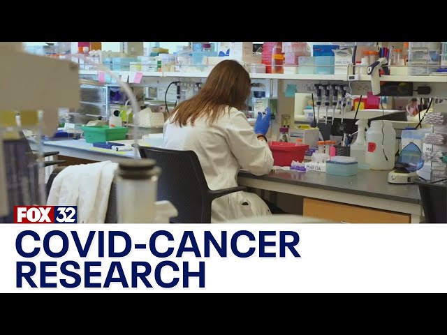 ⁣COVID-19 research sparks hope for new cancer treatments