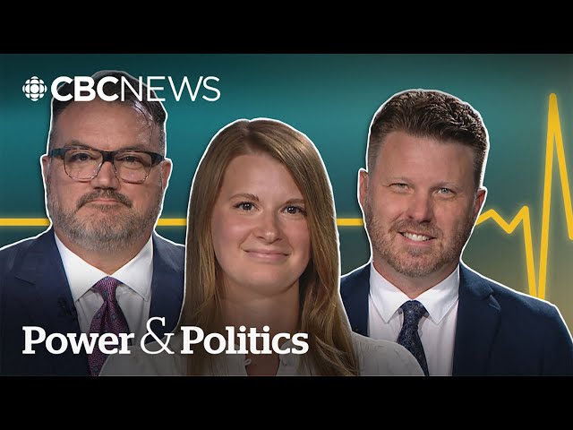 ⁣Political Pulse Panel discusses Trump appointments, Boissonnault's heritage | Power & Polit