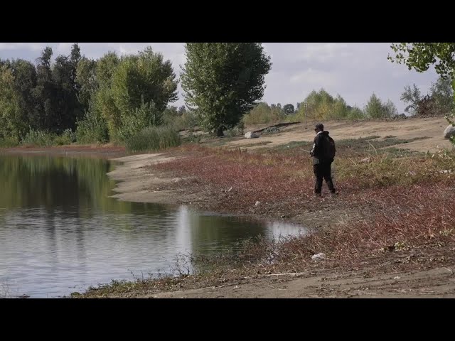 ⁣Dead birds found at Truxtun Lake, CDFW testing animals from lake