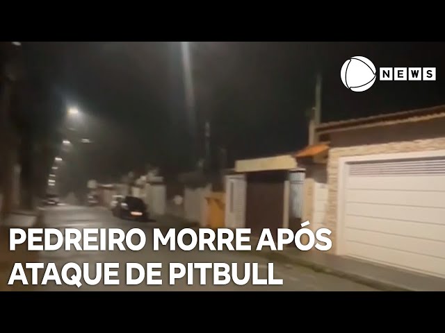 ⁣Pedreiro morre ao ser atacado por pitbull durante trabalho