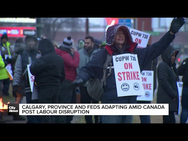 ⁣Calgary, province and feds adapting amid Canada Post labour disruption