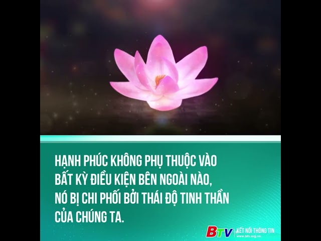 ⁣Hạnh phúc không phụ thuộc vào bất kỳ điều kiện bên ngoài nào, nó bị chi phối bởi thái độ...chúng ta