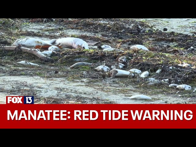 Manatee County issues medium-level red tide warning