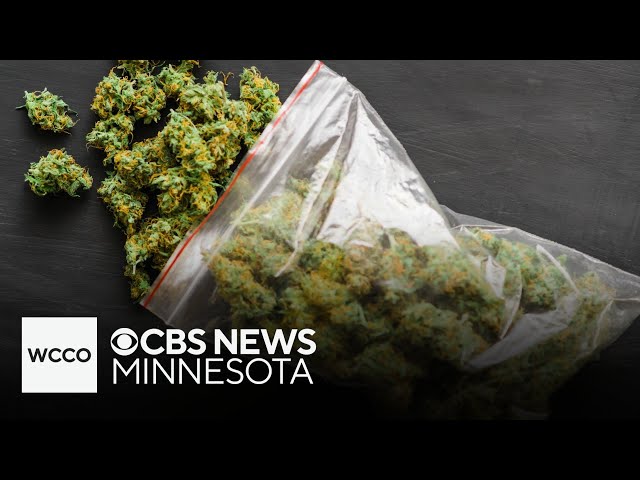 ⁣Cannabis retailer in Minnesota is getting sued by the state