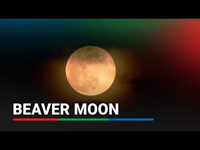 ⁣WATCH: Final supermoon of 2024