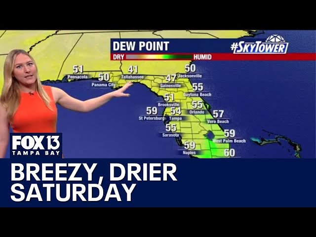 ⁣Tampa weather: Breezy, drier Saturday