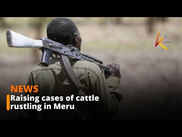 ⁣Security Efforts Reduce Cattle Rustling in Northern Grazing Zone bears fruit - Meru