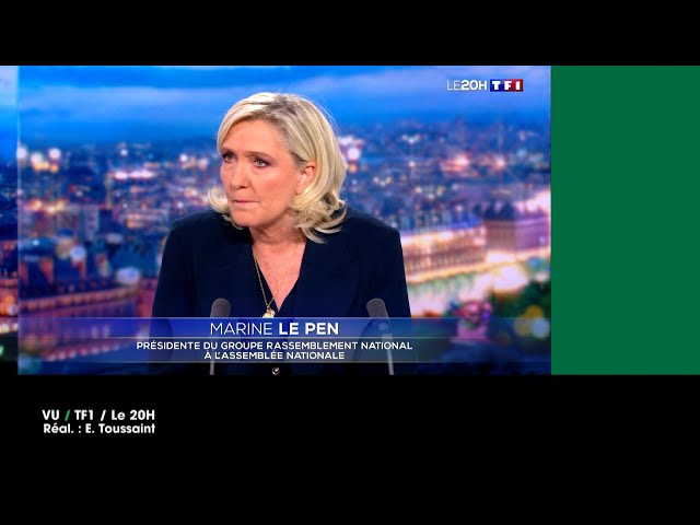 ⁣VU du 16/11/2024 : Le Pen "La peine de mort politique"