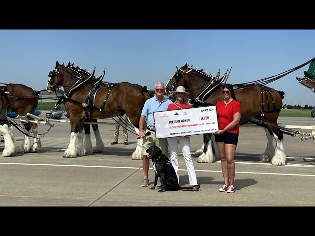 ⁣How Clydesdale horses support a non-profit for fallen soldiers, first responders