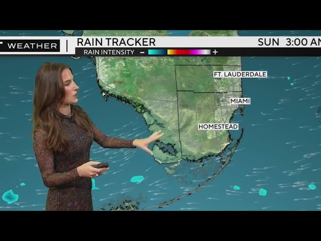 ⁣South Florida weather for Saturday11/16/24 9AM