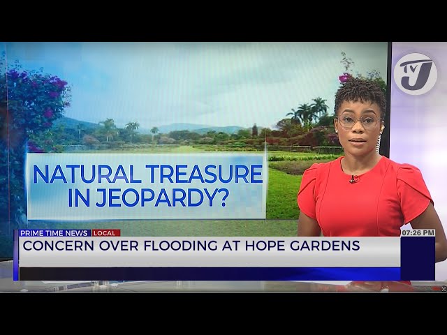 ⁣Concern Over Flooding at Hope Gardens | TVJ News