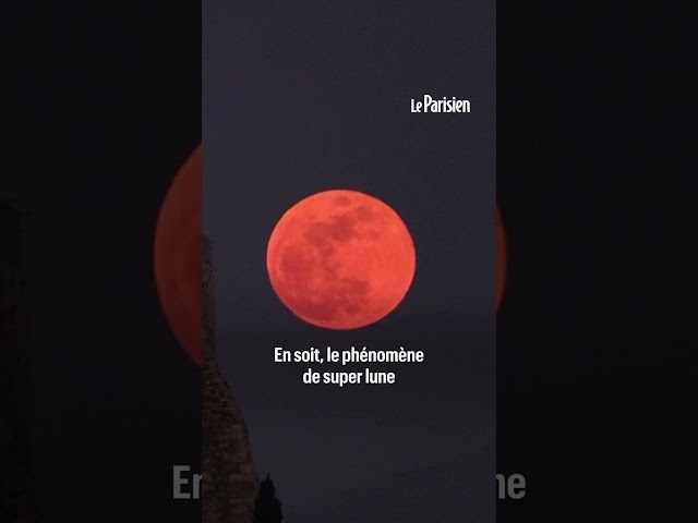 ⁣Pourquoi dit-on « Super Lune du Castor », phénomène très joli mais pas si rare