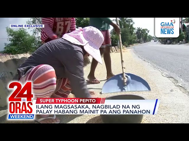 ⁣Ilang magsasaka, nagbilad na ng palay habang mainit pa ang panahon | 24 Oras Weekend