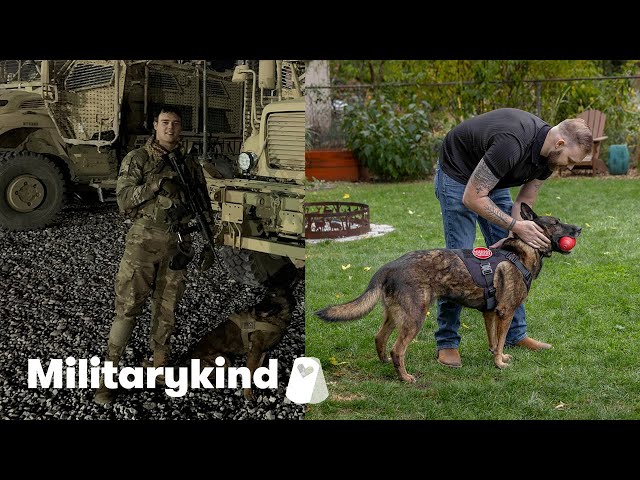 ⁣Veteran and his K-9 reunited after years apart | Militarykind