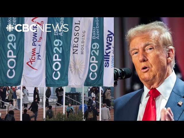 ⁣How Trump’s election is being seen at COP29